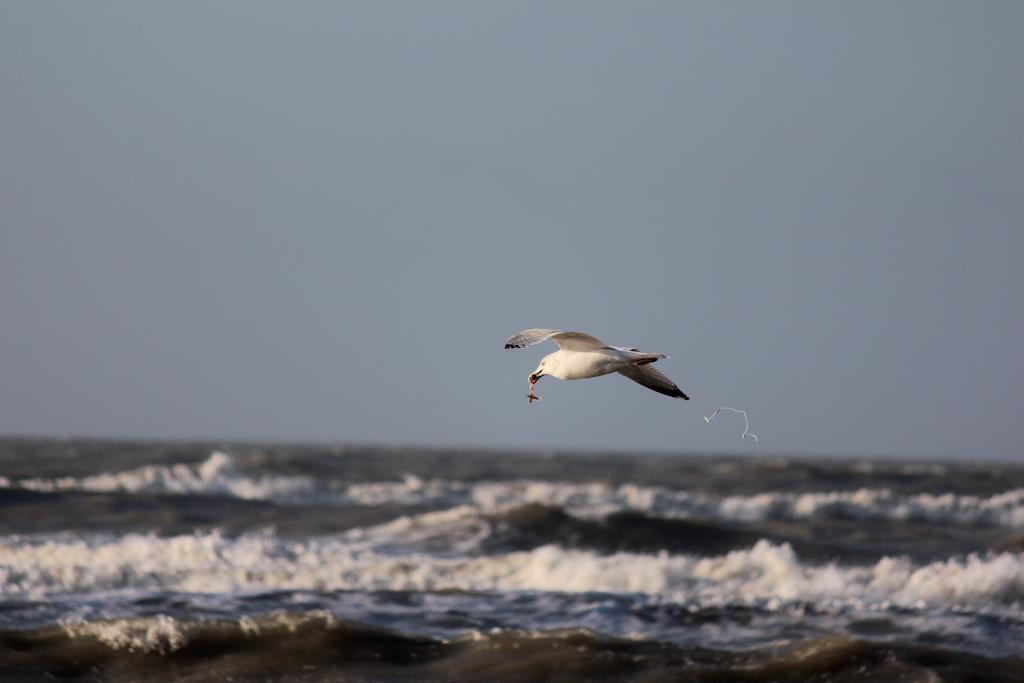 Hotel Arosa Zandvoort Zewnętrze zdjęcie